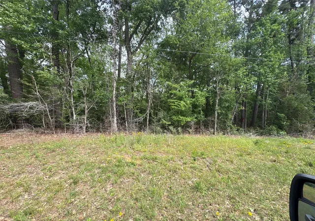 Photo 1 of Land for sale at 468a & 469b Royal Crk Rd, Conroe, TX 77303 | MLS# 91879478 | Listing updated on 2026-09-16