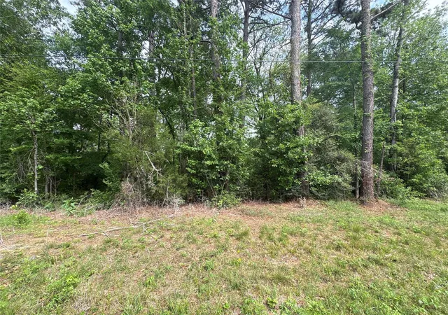 Photo 2 of Land for sale at 468a & 469b Royal Crk Rd, Conroe, TX 77303 | MLS# 91879478 | Listing updated on 2026-09-16