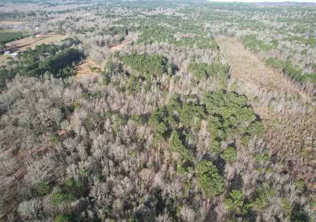 Photo 3 of Sale Pending at Tbd County Rd 3659, Queen City, TX 75572 | MLS# 80063163 | Listing updated on 2026-01-15