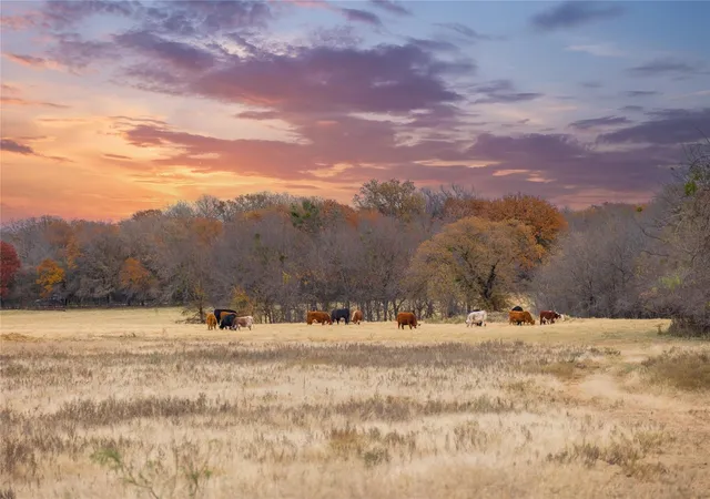 2nd image of 355 County Road 144, Comanche, TX 76442 | MLS# 96150792
