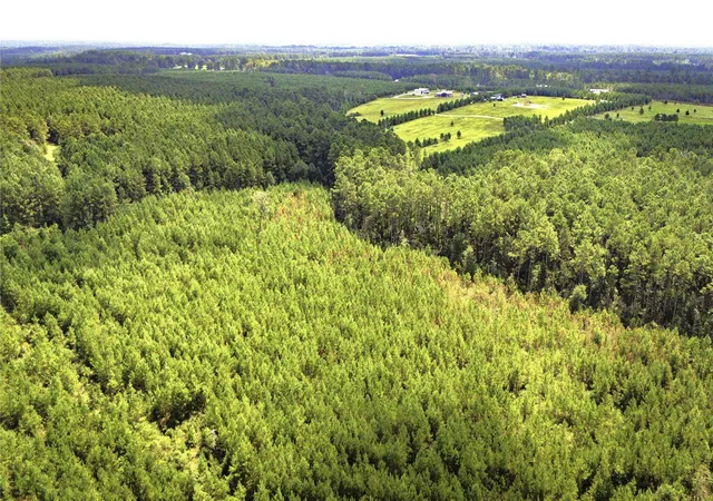 Land for sale at Tbd Stutts Hl, Livingston, TX 77351 | MLS# 87560527