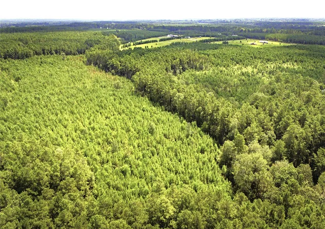 Photo 1 of Land for sale at Tbd Stutts Hl, Livingston, TX 77351 | MLS# 87560527 | Listing updated on 2026-07-09