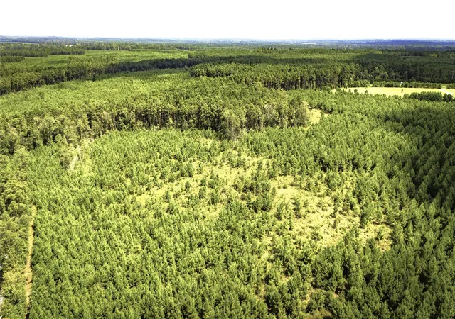 Photo 3 of Land for sale at Tbd Stutts Hl, Livingston, TX 77351 | MLS# 87560527 | Listing updated on 2026-07-09