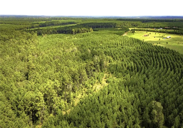 Photo 4 of Land for sale at Tbd Stutts Hl, Livingston, TX 77351 | MLS# 87560527 | Listing updated on 2026-07-09