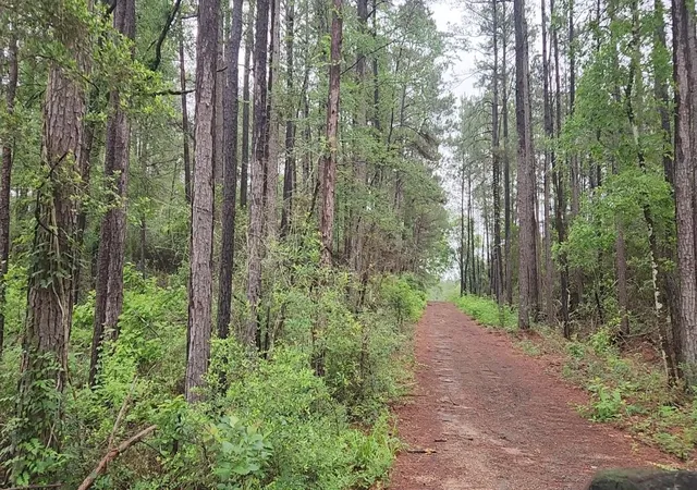 Homes for sale in Plantersville, TX | Lot 33 Gum Tree Ln, Plantersville, TX 77363 | MLS# 8765671