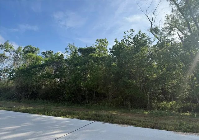 2nd image of 2211 Waco St, Dayton, TX 77535 | MLS# 28860156