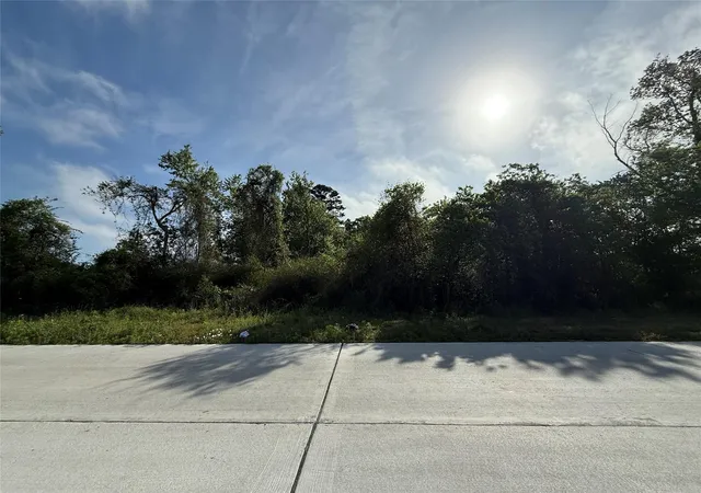 3rd image of 2211 Waco St, Dayton, TX 77535 | MLS# 28860156
