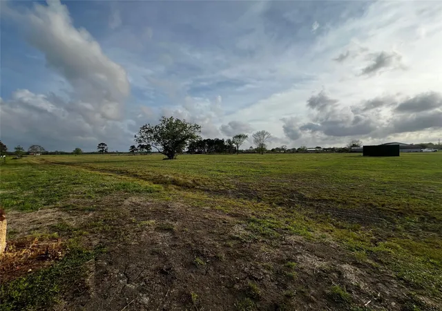 5th image of 9715 County Road 171, Liverpool, TX 77577 | MLS# 63586129