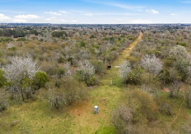 Photo 3 of Land for sale at Tbd Mission Valley Rd, Cuero, TX 77954 | MLS# 10631821 | Listing updated on 2026-02-18