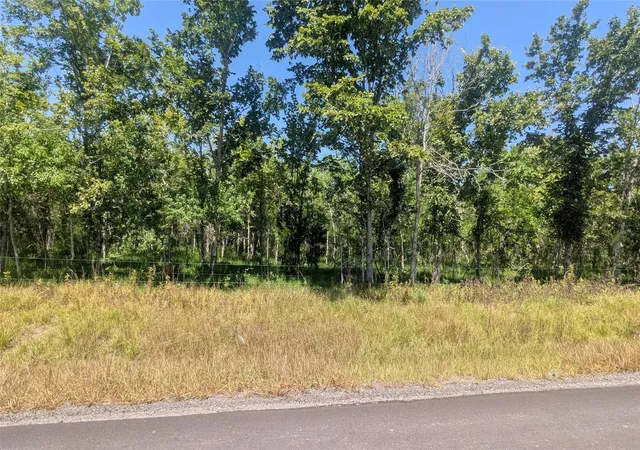 9th image of 0003 Sandpiper Rd/cr 420, Angleton, TX 77515 | MLS# 69294937