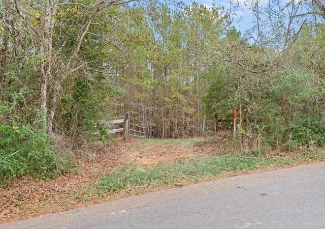 Photo 2 of Land for sale at 12895 County Rd 201, Plantersville, TX 77363 | MLS# 38814555 | Listing updated on 2026-01-10