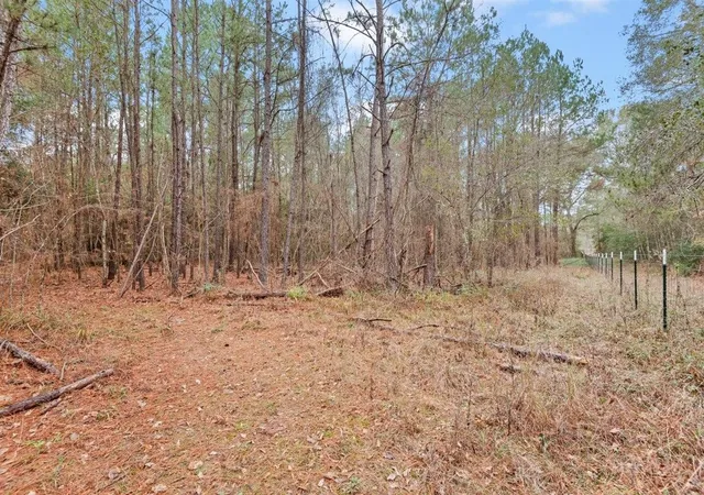 Photo 33 of Land for sale at 12895 County Rd 201, Plantersville, TX 77363 | MLS# 38814555 | Listing updated on 2026-01-10