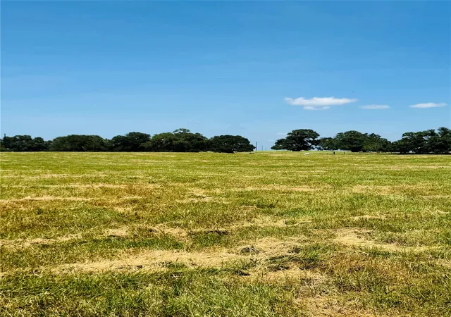 5th image of 9821 W Us Hwy 90, Flatonia, TX 78941 | MLS# 81532416