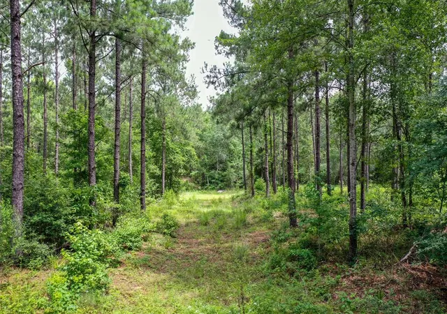 1st image of 15573 Ac Cr 1050, Crockett, TX 75835 | MLS# 96964054