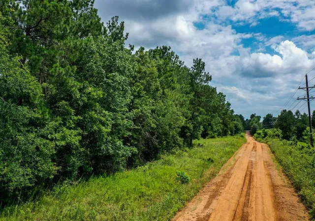 23rd image of 15573 Ac Cr 1050, Crockett, TX 75835 | MLS# 96964054