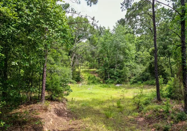 4th image of 15573 Ac Cr 1050, Crockett, TX 75835 | MLS# 96964054