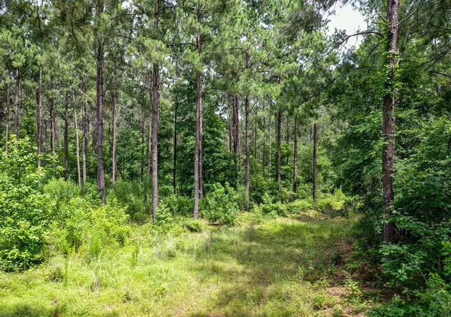 5th image of 15573 Ac Cr 1050, Crockett, TX 75835 | MLS# 96964054