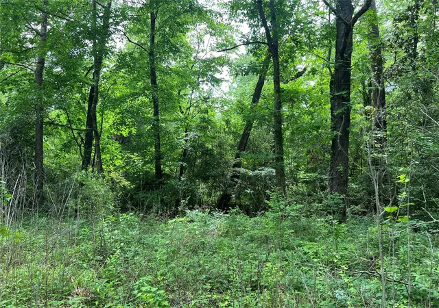Photo 1 of Land for sale at Tbd Lot 22 Forester, Livingston, TX 77351 | MLS# 60815332 | Listing updated on 2026-04-19