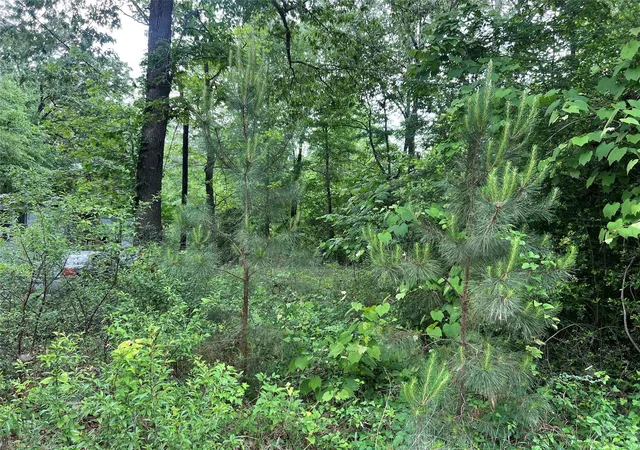 Photo 2 of Land for sale at Tbd Lot 22 Forester, Livingston, TX 77351 | MLS# 60815332 | Listing updated on 2026-04-19