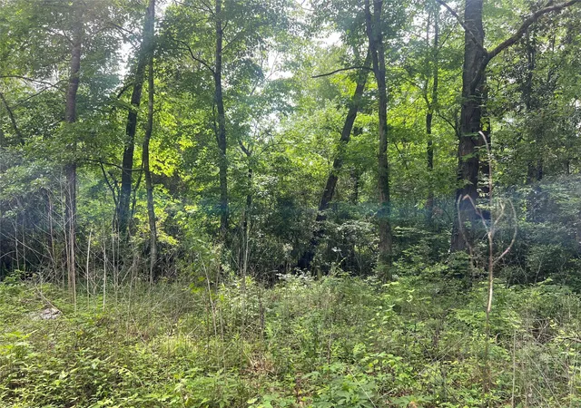 Photo 4 of Land for sale at Tbd Lot 22 Forester, Livingston, TX 77351 | MLS# 60815332 | Listing updated on 2026-04-19