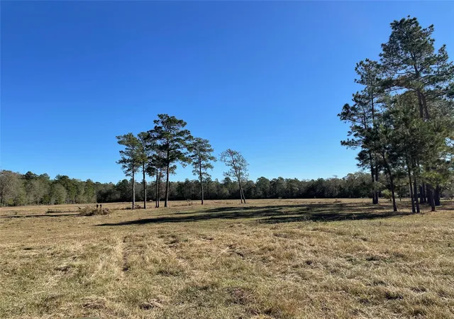 Photo 1 of Land for sale at 0 California Av, Cleveland, TX 77328 | MLS# 6562686 | Listing updated on 2026-08-18