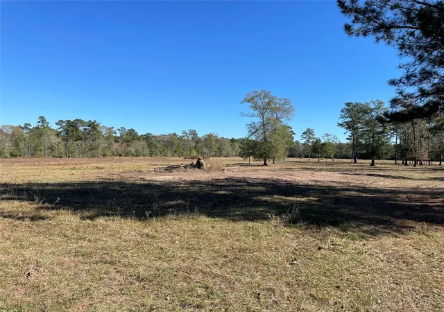 Photo 2 of Land for sale at 0 California Av, Cleveland, TX 77328 | MLS# 6562686 | Listing updated on 2026-08-18