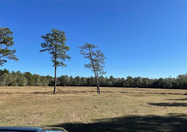 Photo 4 of Land for sale at 0 California Av, Cleveland, TX 77328 | MLS# 6562686 | Listing updated on 2026-08-18