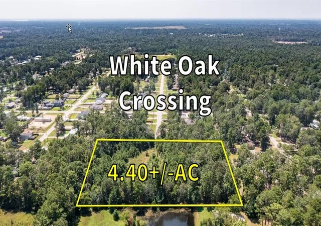 2nd image of 00 Orchid Bee, New Caney, TX 77357 | MLS# 66621892