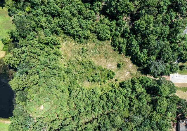 7th image of 00 Orchid Bee, New Caney, TX 77357 | MLS# 66621892