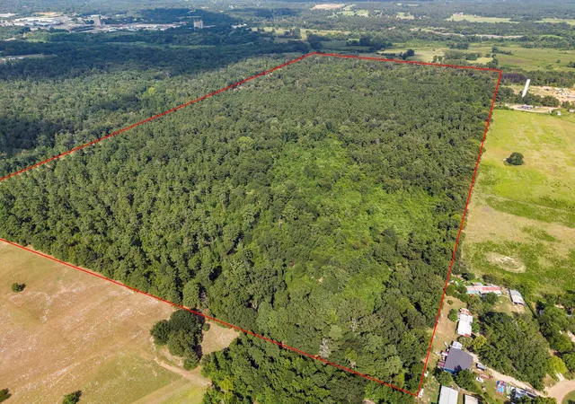 Photo 4 of Land for sale at Pid 3773 Fm 2863, Nacogdoches, TX 75964 | MLS# 50718635 | Listing updated on 2026-08-27