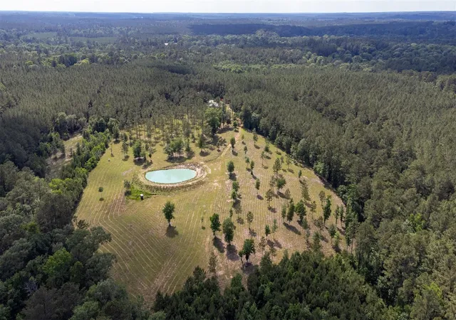 Homes for sale in Colmesneil, TX | 1068 County Road 3200, Colmesneil, TX 75938 | MLS# 59938460