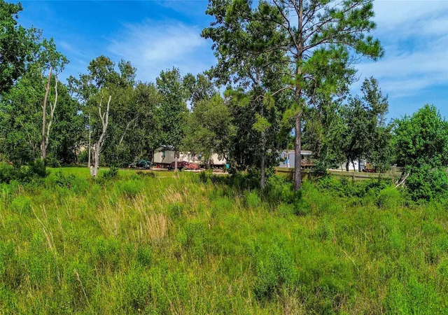 11th image of Tbd Scott St, Liverpool, TX 77577 | MLS# 43144868