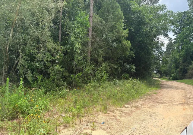 Homes for sale in Ivanhoe, TX | Lot 1 Millcreek Dr, Ivanhoe, TX 75979 | MLS# 69616144