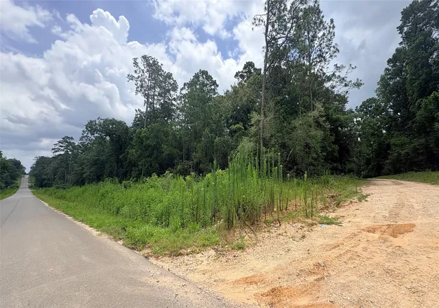 Homes for sale in Ivanhoe, TX | Lot 1 Millcreek Dr, Ivanhoe, TX 75979 | MLS# 69616144