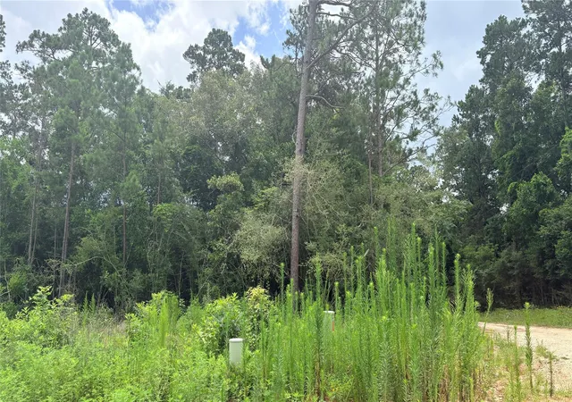 Homes for sale in Ivanhoe, TX | Lot 1 Millcreek Dr, Ivanhoe, TX 75979 | MLS# 69616144