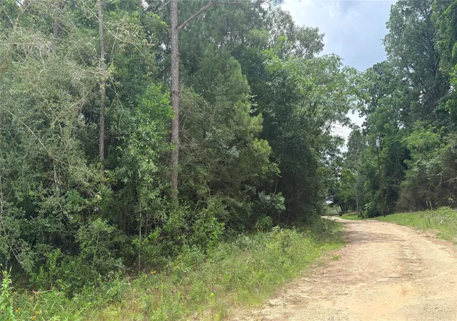 Homes for sale in Ivanhoe, TX | Lot 1 Millcreek Dr, Ivanhoe, TX 75979 | MLS# 69616144