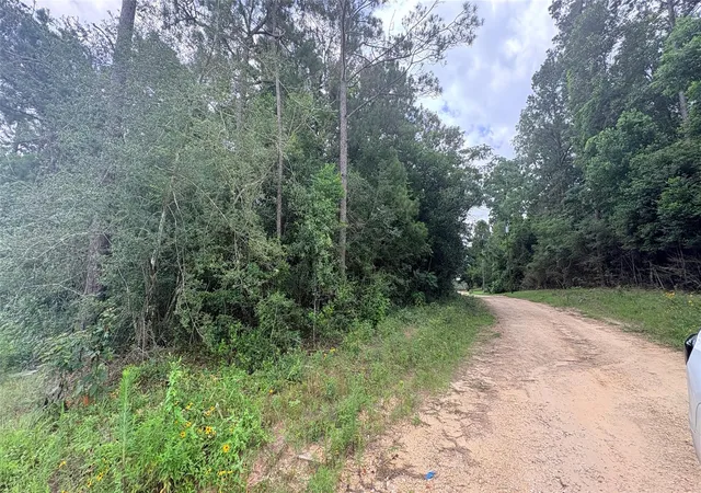 Homes for sale in Ivanhoe, TX | Lot 1 Millcreek Dr, Ivanhoe, TX 75979 | MLS# 69616144