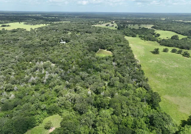 24th image of + 15 Acres County Road 333, Caldwell, TX 77836 | MLS# 4823263