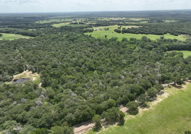2nd image of + 15 Acres County Road 333, Caldwell, TX 77836 | MLS# 4823263