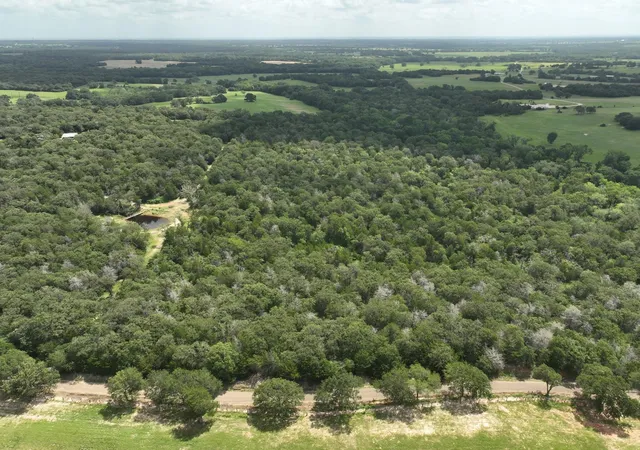 4th image of +-15 Acres County Road 333, Caldwell, TX 77836 | MLS# 4823263