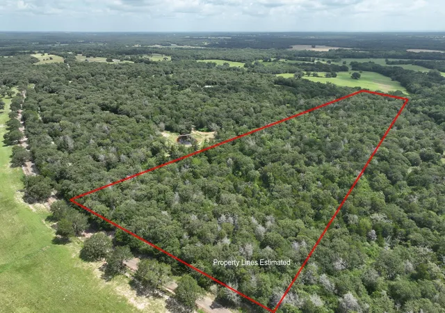 5th image of +-15 Acres County Road 333, Caldwell, TX 77836 | MLS# 4823263