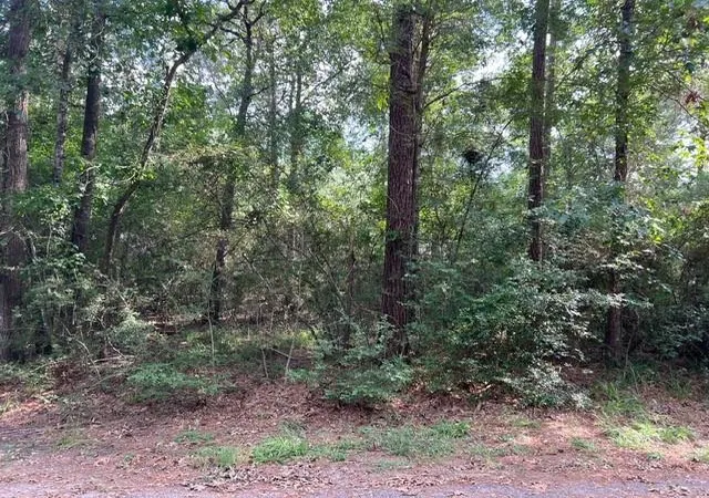 Photo 1 of Land for sale at 1006 Jefferson River Cir, Montgomery, TX 77316 | MLS# 14768408 | Listing updated on 2026-08-02
