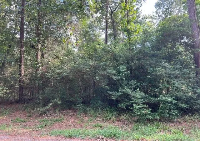 Photo 2 of Land for sale at 1006 Jefferson River Cir, Montgomery, TX 77316 | MLS# 14768408 | Listing updated on 2026-08-02