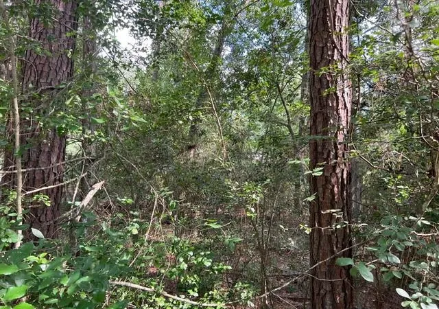 Photo 2 of Land for sale at 1006 Jefferson River Cir, Montgomery, TX 77316 | MLS# 14768408 | Listing updated on 2026-08-02