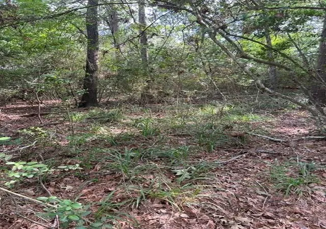 Photo 3 of Land for sale at 1006 Jefferson River Cir, Montgomery, TX 77316 | MLS# 14768408 | Listing updated on 2026-08-02