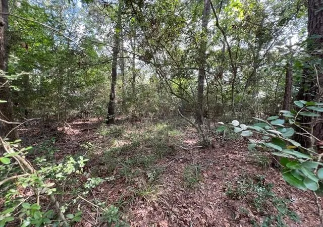 Photo 4 of Land for sale at 1006 Jefferson River Cir, Montgomery, TX 77316 | MLS# 14768408 | Listing updated on 2026-08-02