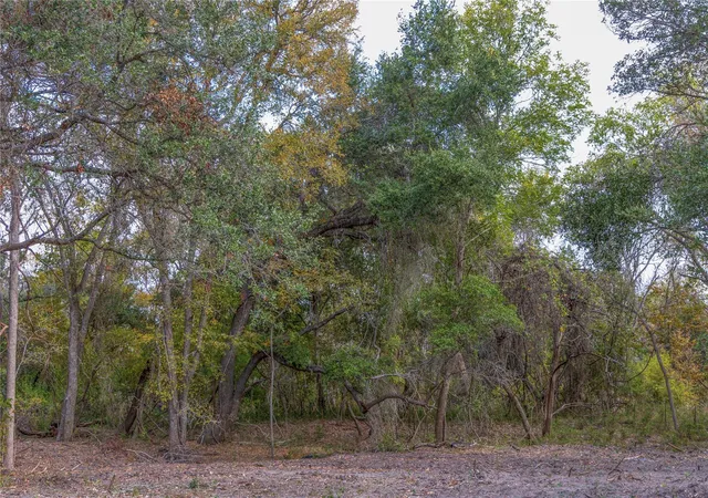 36th image of 1250 Ladewig Ln, Schulenburg, TX 78956 | MLS# 867459