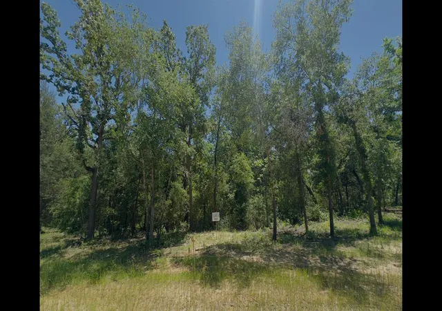 Homes for sale in Jewett, TX | Lot 9 County Road 494, Jewett, TX 75846 | MLS# 90214702