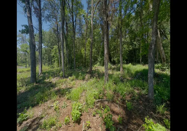 Homes for sale in Jewett, TX | Lot 9 County Road 494, Jewett, TX 75846 | MLS# 90214702