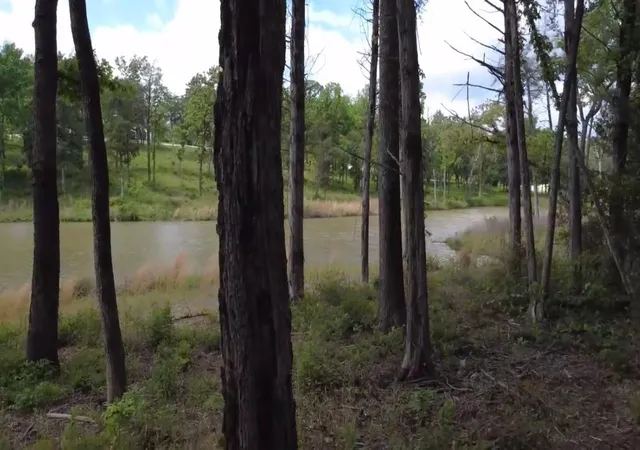 Homes for sale in Jewett, TX | Lot 9 County Road 494, Jewett, TX 75846 | MLS# 90214702